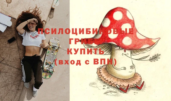 Альфа ПВП Алзамай
