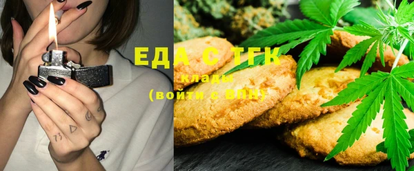 мдпв Рославль