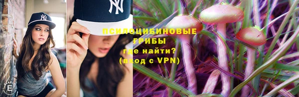 Альфа ПВП Алзамай