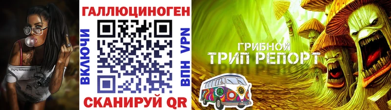 наркошоп  Миньяр  Псилоцибиновые грибы Psilocybe 