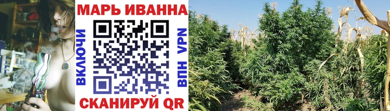Конопля гибрид наркошоп Миньяр